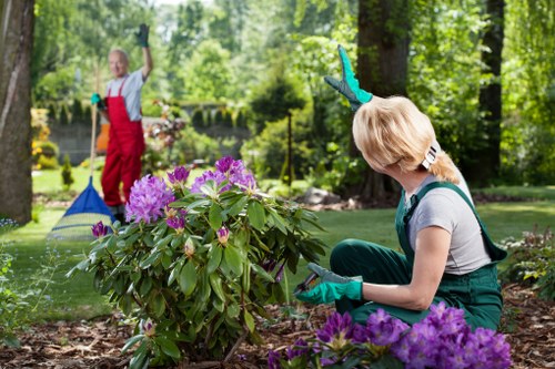 Front view of a gardener preparing a lawn service