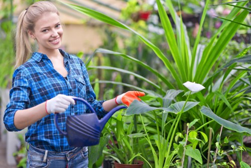 Professional garden clearance work in Wembley