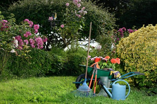 Eco-friendly lawn mowing practices in a Wembley garden