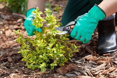 Gardener weeding a vibrant Wembley garden