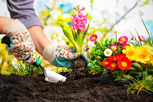 Professional landscapers enhancing curb appeal of property