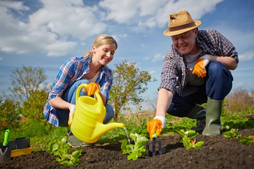 Sustainable gardening practices by Gardening Wembley