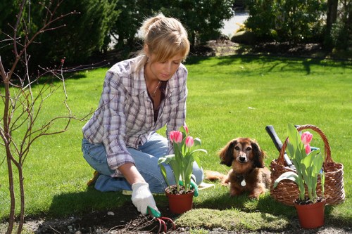 Person using a screen reader on a tablet while planning a gardening session