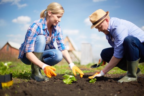 Spring garden preparation in Wembley
