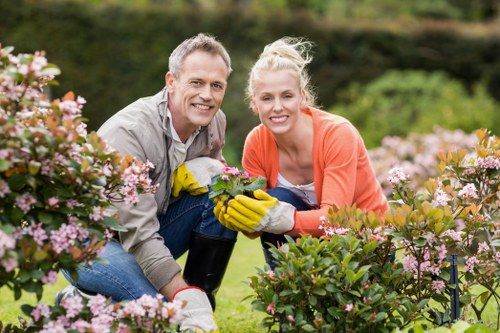 Garden clearance process with professionals