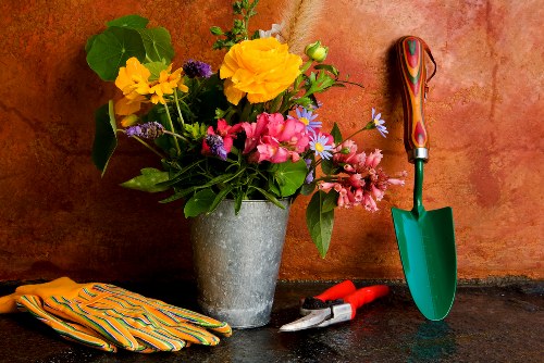 Gardening enthusiasts participating in a local workshop